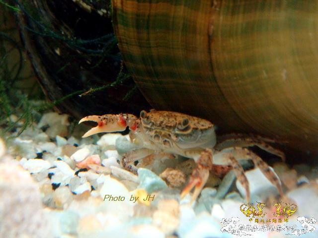 [原创]一组杂项