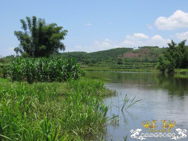 小记09年7月9日野采