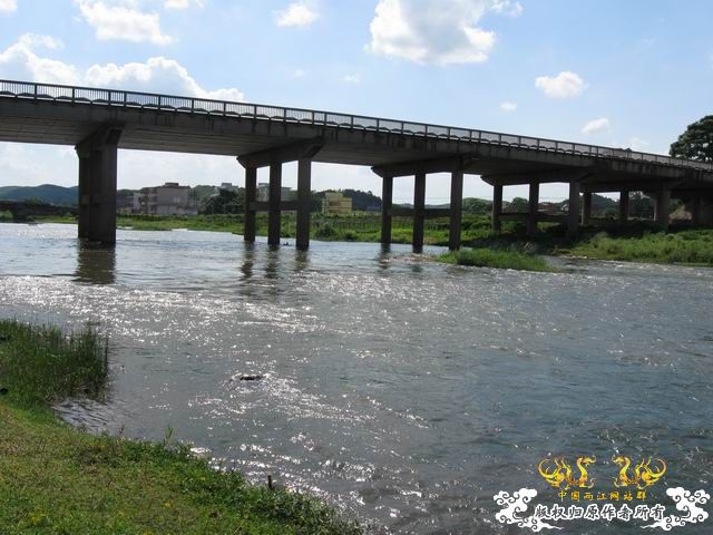 小记09年7月9日野采