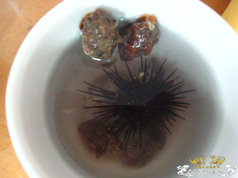 青澳湾野采