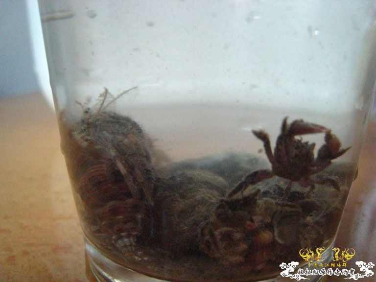 青澳湾野采