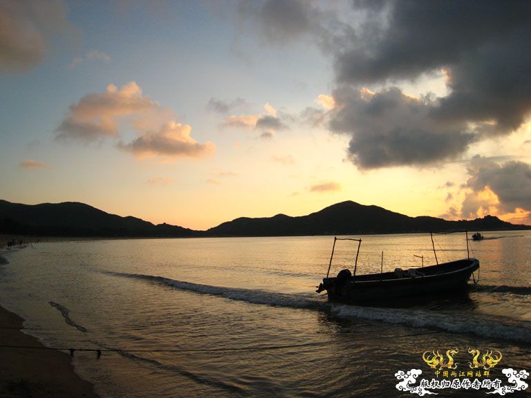 青澳湾野采