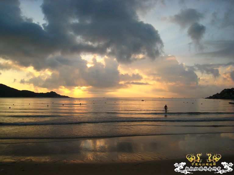 青澳湾野采