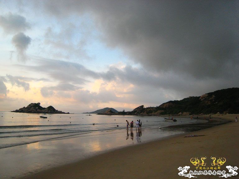青澳湾野采