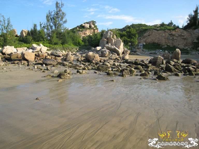 青澳湾野采