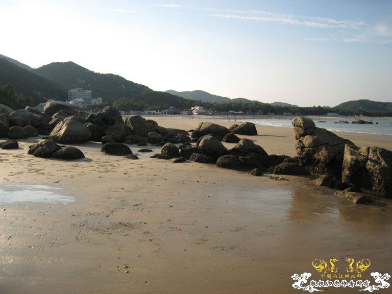 青澳湾野采