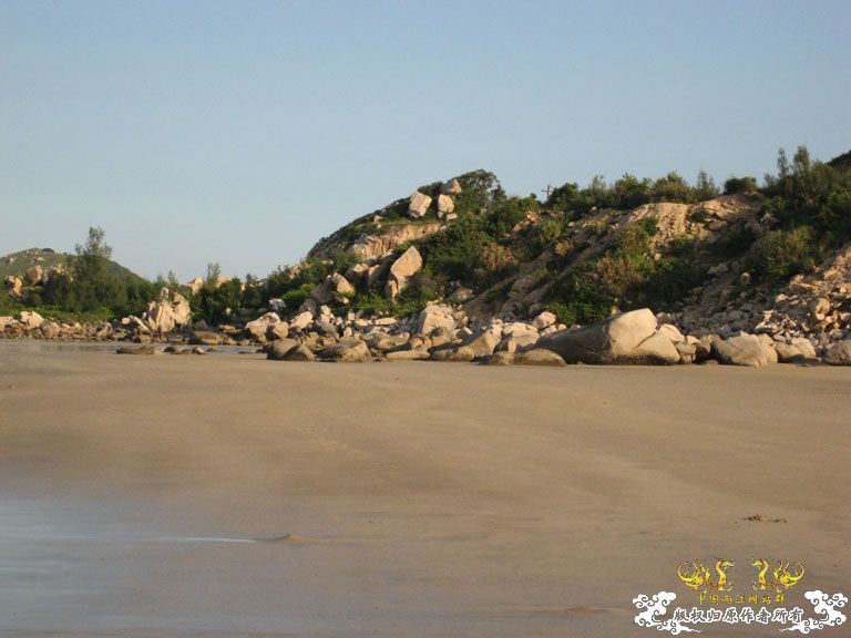 青澳湾野采