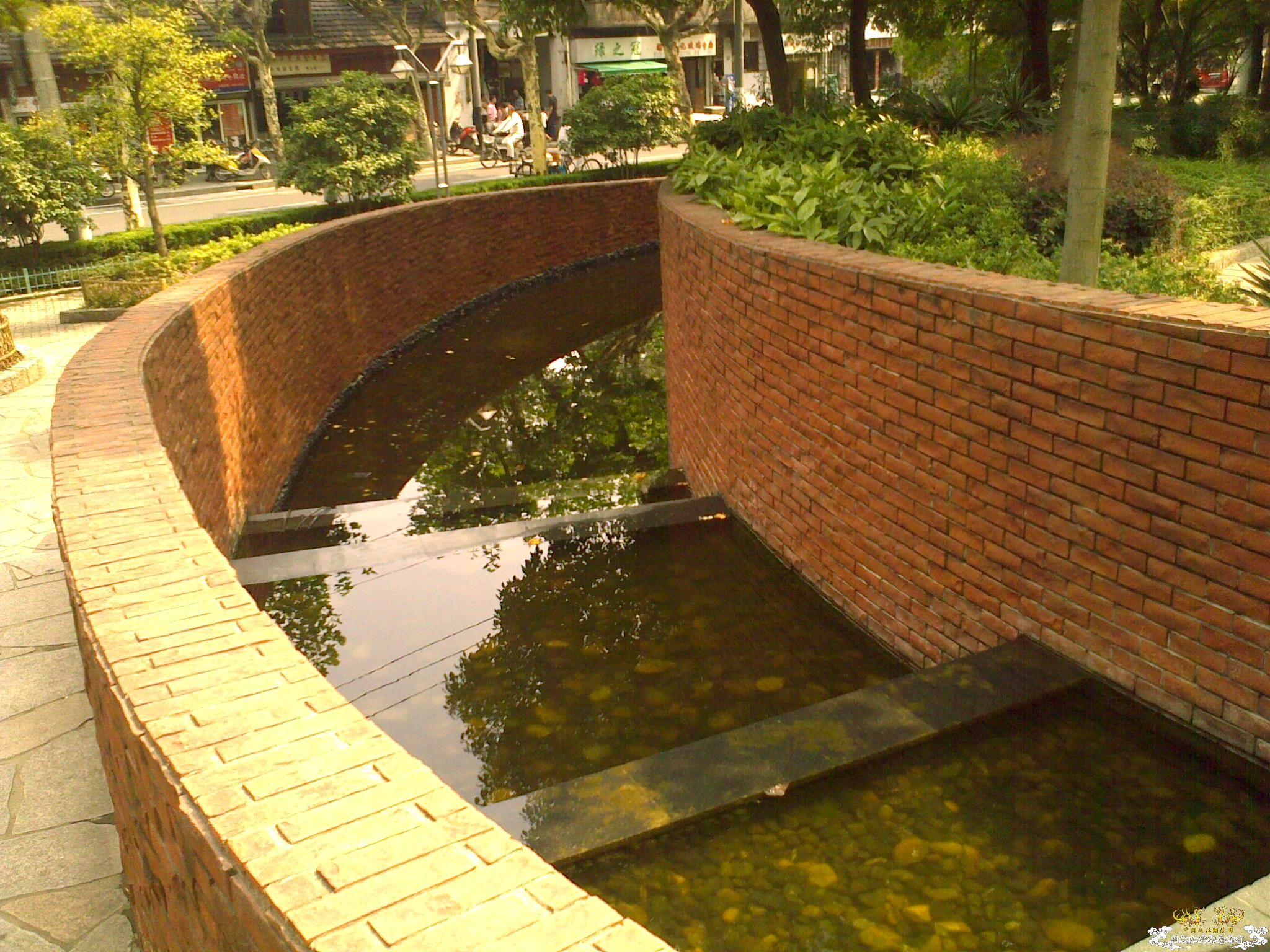 上海市中心仿生态实地考察
