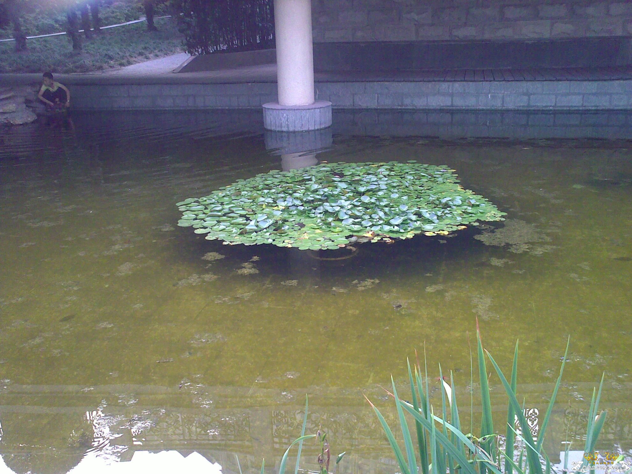 上海市中心仿生态实地考察