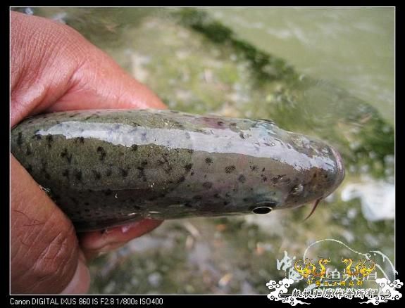 [分享]激情一贴,大家进来.