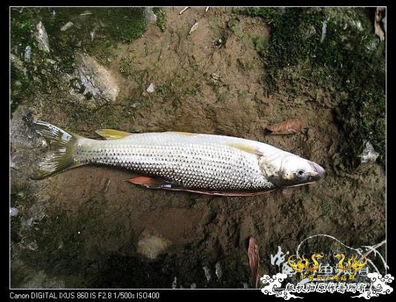 [分享]激情一贴,大家进来.