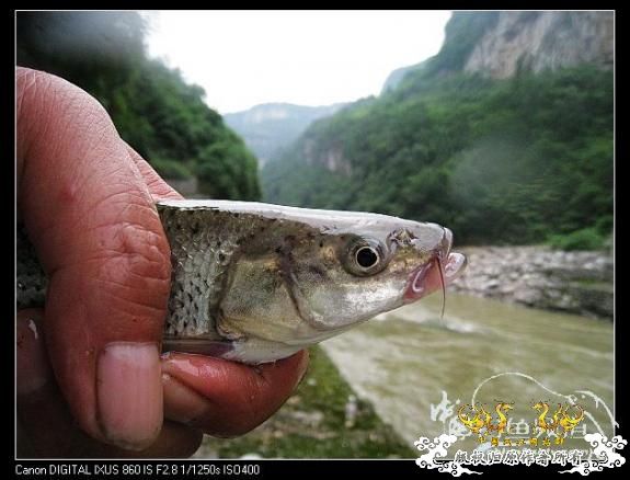[分享]激情一贴,大家进来.