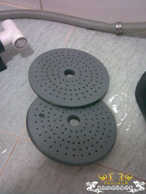 [原创]池塘一角