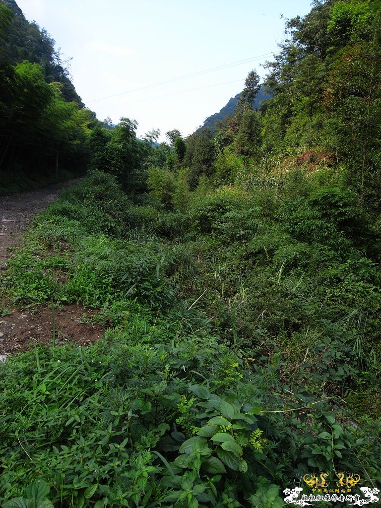 天热进山FB避暑+溪流初探（图多杀猫）