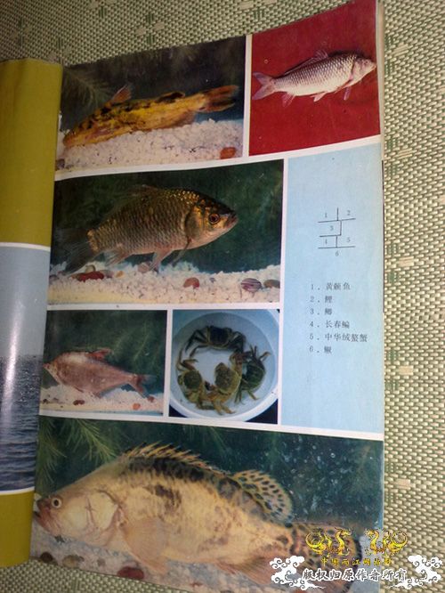 意外收获！