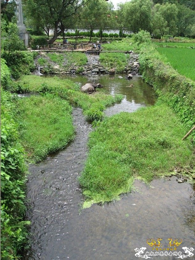 黄山游----李坑