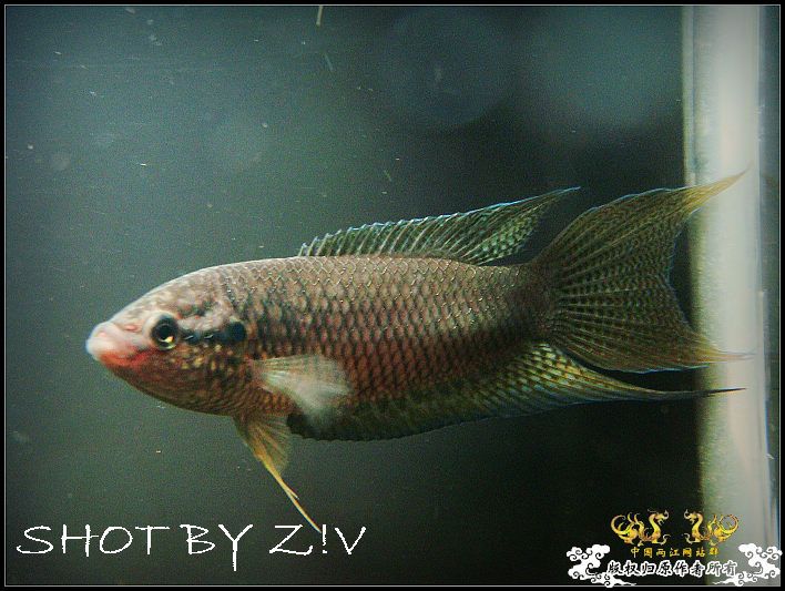7hyKv5FP.jpg