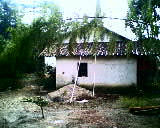 小弟潜水许久第一次发贴, !路过大神请鉴定!(已上图)