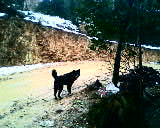 小弟潜水许久第一次发贴, !路过大神请鉴定!(已上图)