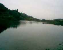 小弟潜水许久第一次发贴, !路过大神请鉴定!(已上图)