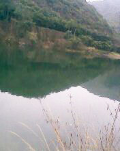 小弟潜水许久第一次发贴, !路过大神请鉴定!(已上图)