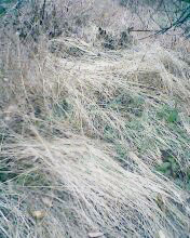 小弟潜水许久第一次发贴, !路过大神请鉴定!(已上图)