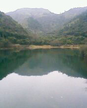 小弟潜水许久第一次发贴, !路过大神请鉴定!(已上图)