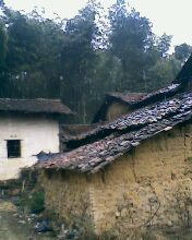 小弟潜水许久第一次发贴, !路过大神请鉴定!(已上图)