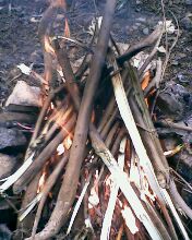 小弟潜水许久第一次发贴, !路过大神请鉴定!(已上图)