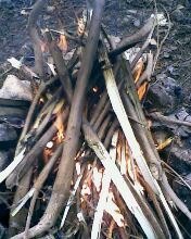 小弟潜水许久第一次发贴, !路过大神请鉴定!(已上图)