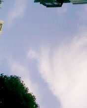 小弟潜水许久第一次发贴, !路过大神请鉴定!(已上图)