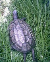 小弟潜水许久第一次发贴, !路过大神请鉴定!(已上图)