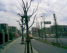 小弟潜水许久第一次发贴, !路过大神请鉴定!(已上图)