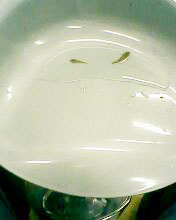 小弟有上新品种, 再次求路过大神鉴定! 嘿嘿昨天夜里抓的!