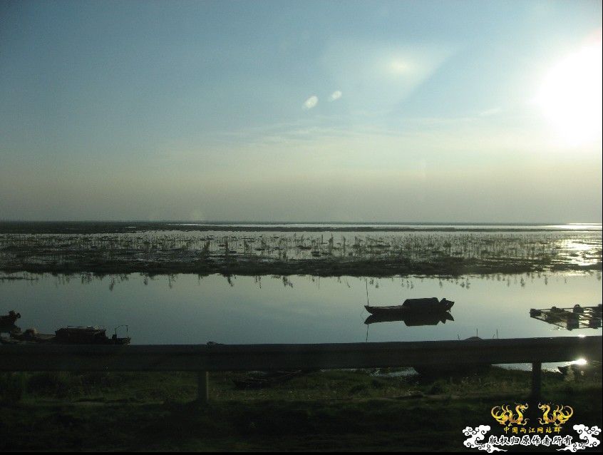 黄山游系列2蕃阳湖湿地