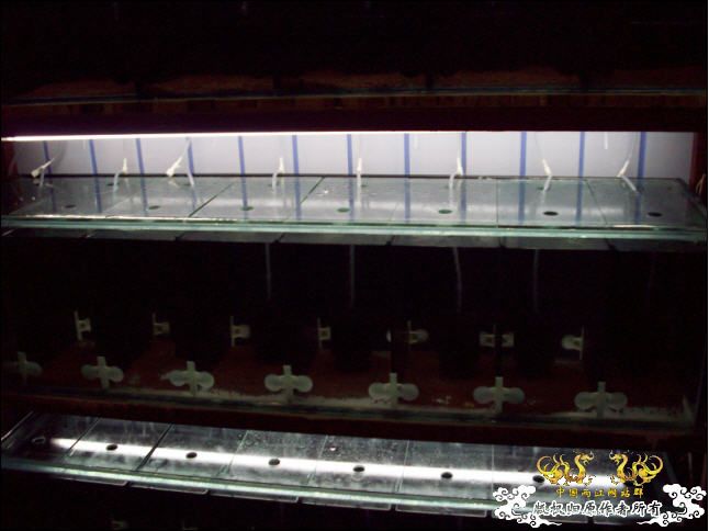 俺的国斗坊终于开张了