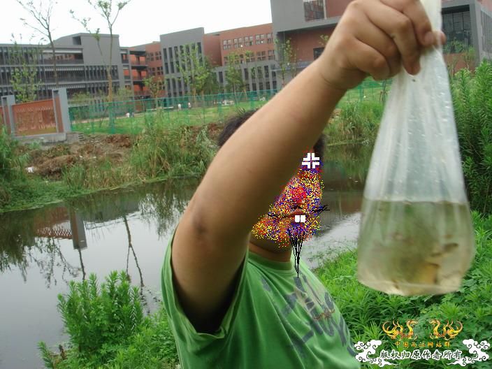 今天野菜，不入者必后悔