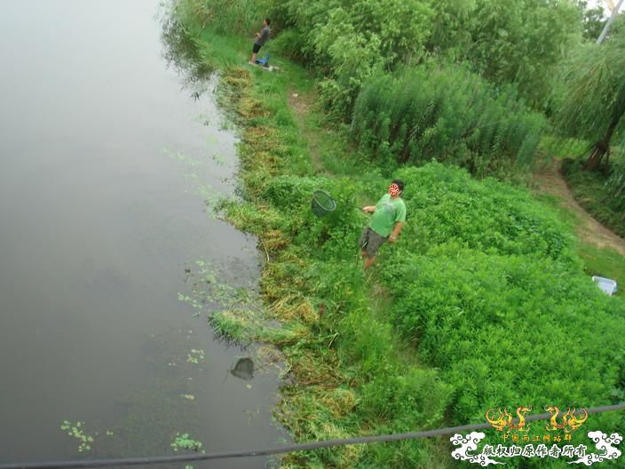 今天野菜，不入者必后悔