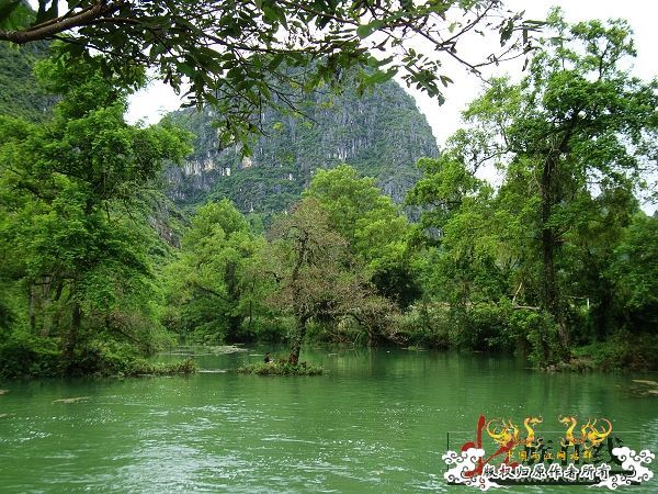 7月19-20日的野采日记（选自：红棉树巴盖日记）