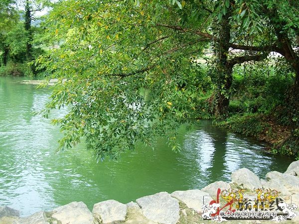 7月19-20日的野采日记（选自：红棉树巴盖日记）