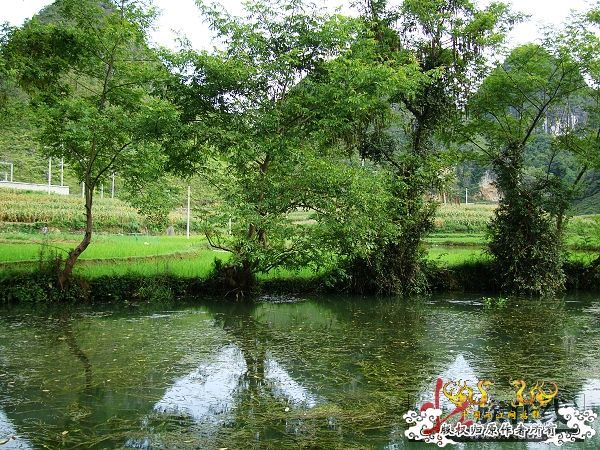 7月19-20日的野采日记（选自：红棉树巴盖日记）