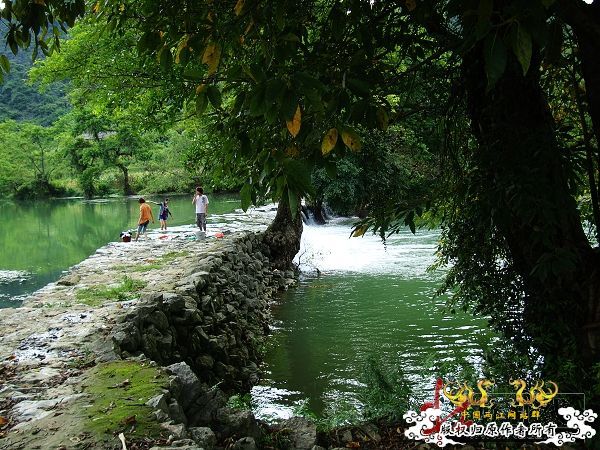 7月19-20日的野采日记（选自：红棉树巴盖日记）