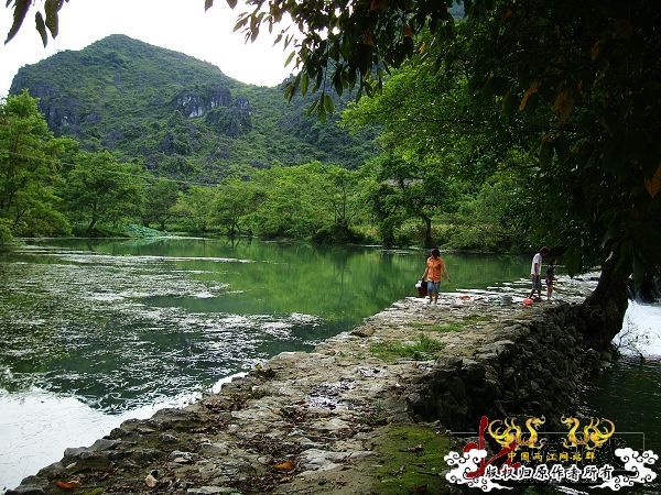 7月19-20日的野采日记（选自：红棉树巴盖日记）