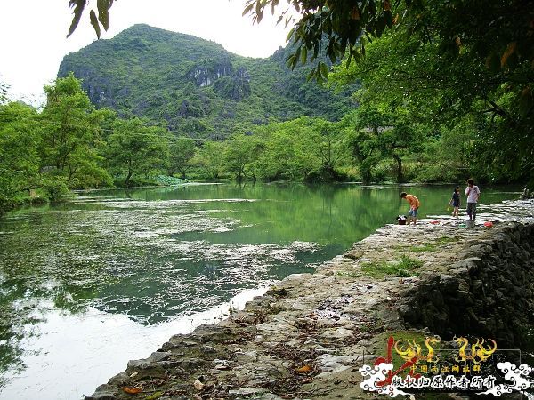 7月19-20日的野采日记（选自：红棉树巴盖日记）