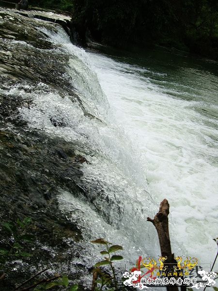 7月19-20日的野采日记（选自：红棉树巴盖日记）