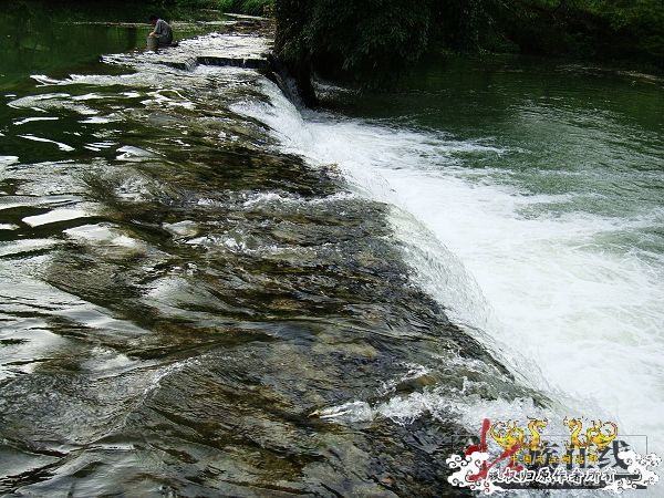 7月19-20日的野采日记（选自：红棉树巴盖日记）