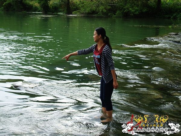 7月19-20日的野采日记（选自：红棉树巴盖日记）