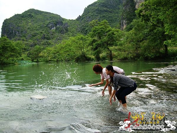 7月19-20日的野采日记（选自：红棉树巴盖日记）