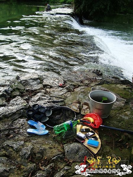 7月19-20日的野采日记（选自：红棉树巴盖日记）