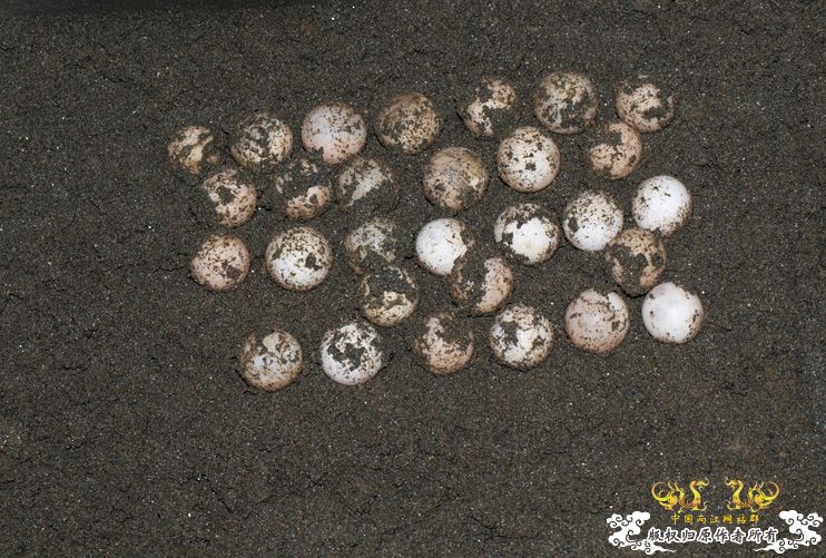 今年的收获（不是鱼）